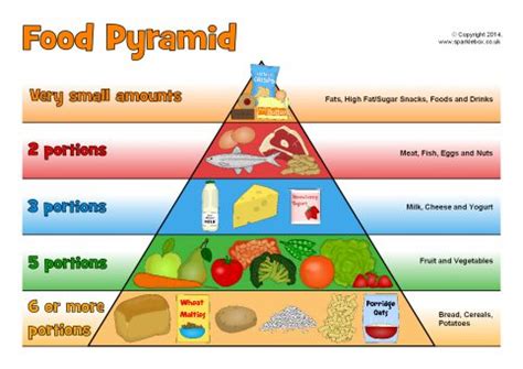 The food guide pyramid plays an important role in the health education of the majority of people in the united states. food-pyramid | Rachel Graham Nutrition
