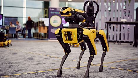 What Are Robot Dogs