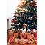 Christmas Tree With Presents Vertical Free Stock Photo  Picjumbo