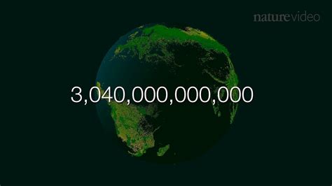 Combien y a t il d arbres sur terre Plus de milliards Vidéo Dailymotion