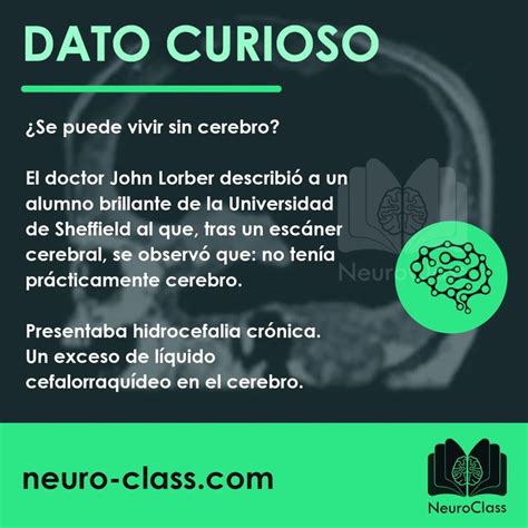 ¡nuevo Dato Curioso True Facts Psychology Facts