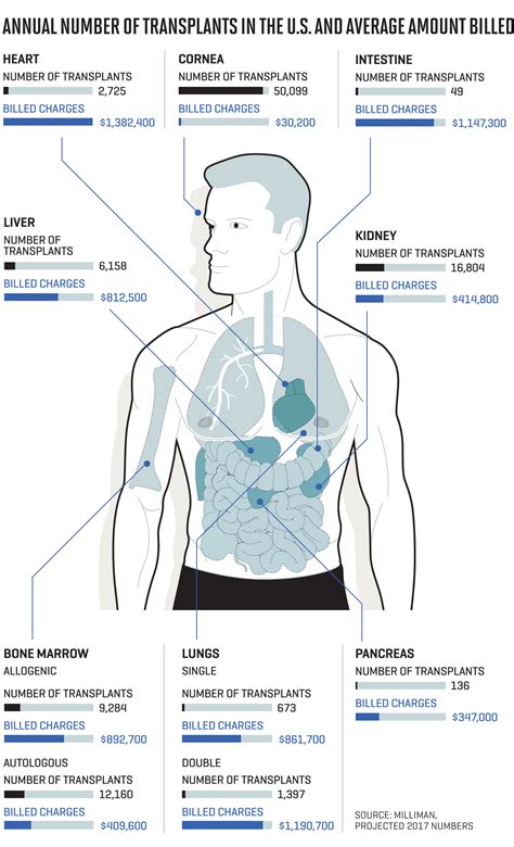 Heres What Every Organ In The Body Would Cost To Transplant Fortune