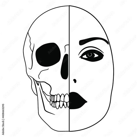 Beautiful Female Face Half Skull Dead And Alive Juxtaposition Of Life