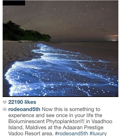 Bioluminescent Phytoplankton In Vaadhoo Island Maldives At The Adaaran
