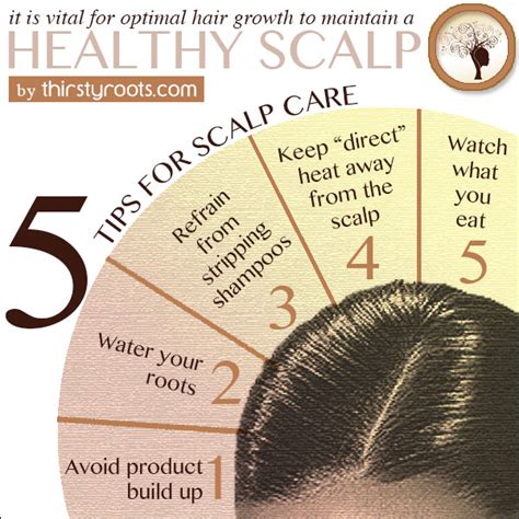 5 Tips For Scalp Care