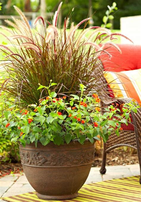 Container Gardens For The Midwest Container Gardening Container