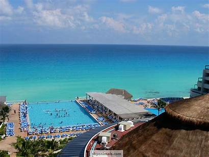 Cancun Beach Mexico Resort Wallpapersafari Cat Desktop