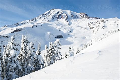 Mount Rainier In Winter Following A Fresh Snowfall Del Colaborador De