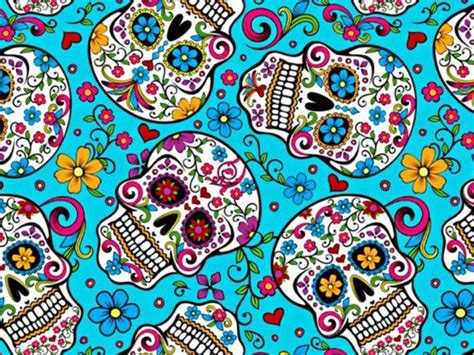 Cute Skull Wallpapers 54 Images