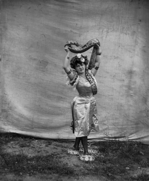 Best Images About Old Time Circus On Pinterest Lady Vintage And