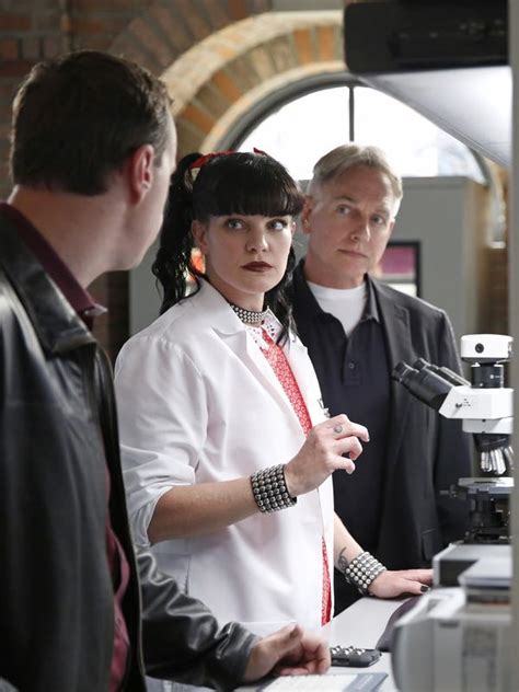 Ncis Star Pauley Perrette Attacked Near Home
