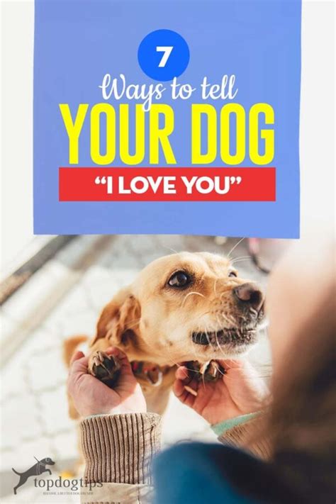 7 Ways To Tell Your Dog I Love You Top Dog Tips