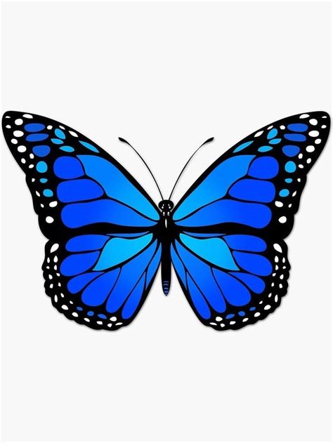 Pegatina Blue Butterfly De Maradieguez Butterfly Drawing Butterfly