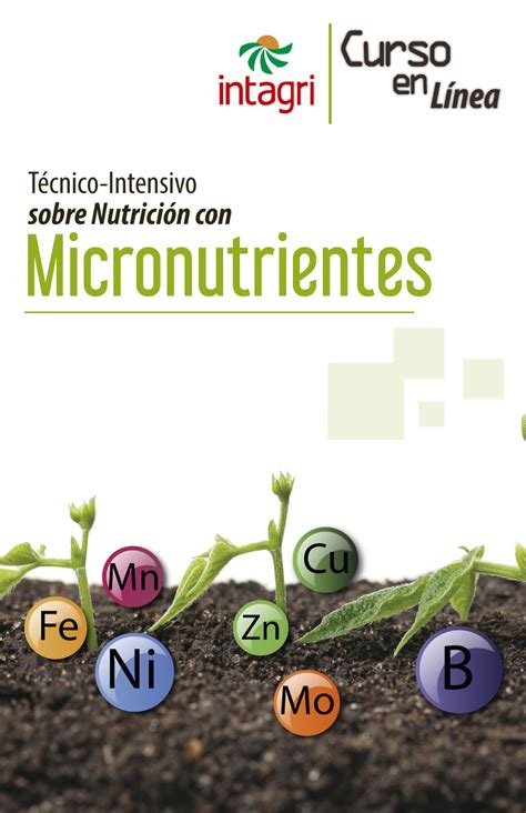 Seminario Virtual Micronutrientes Para Las Plantas Inicio Intagri Sc