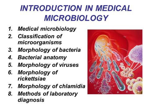 Kharkov National Medical University Head Of Microbiology Virology