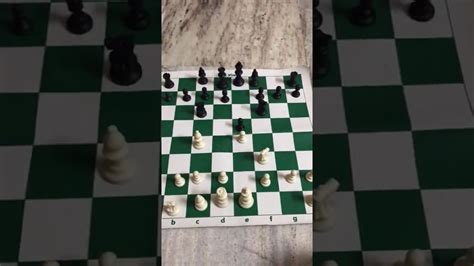 Chess Italian Opening Youtube
