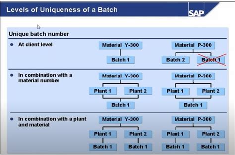 Batch Number And Batch Manufacturing Batch Management