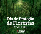 Dia da Proteção às Florestas: O que você faz para conservá-las? – Amana ...