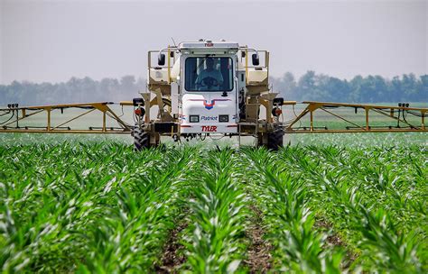 You may be mixing it up with monsanto's roundup ready varieties of seeds that have been genetically modified to be resistant to roundup. What Do We Really Know About Roundup Weed Killer?