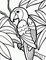 Parrot Coloring Birds Printable sketch template