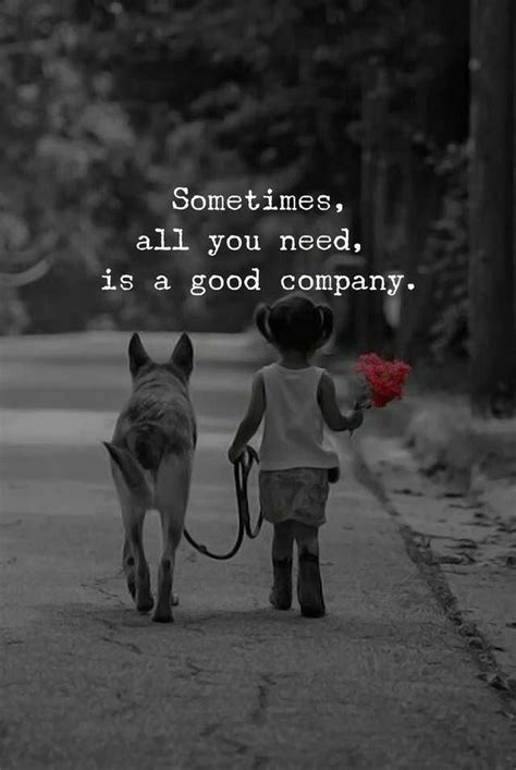 Sometimes All You Need Is A Good Company Holiday Quotes Funny Cute Quotes Dog Quotes Love