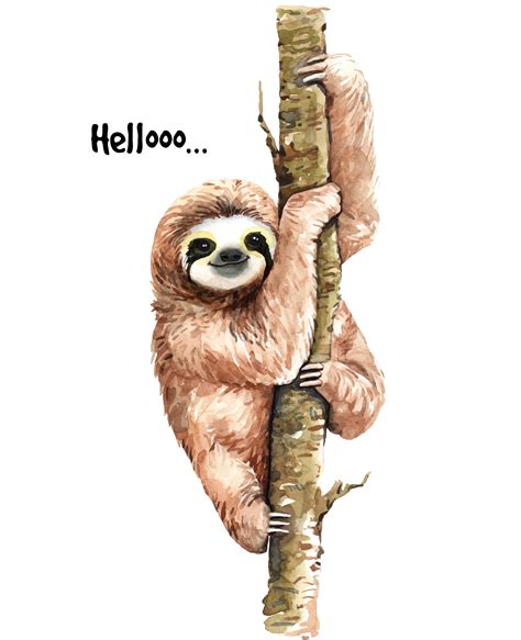 Watercolor Sloth On Branch 669931 Vector Art At Vecteezy