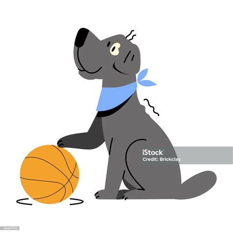 Dog Basketball Stock Illustration Download Image Now Animal