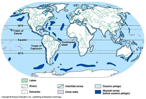 The Characteristics Of Ocean Biomes Ocean Biomes