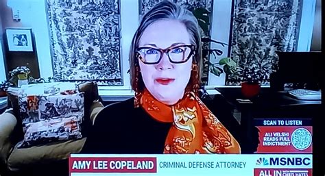 Amy Lee Copeland Lawyer Wiki Age Husband And Net Worth