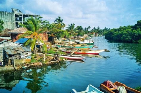 Visiter Negombo Au Srilanka · Blog Du Sri Lanka