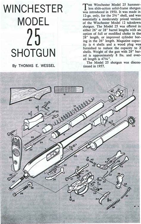 Disassembly Procedure Bzh Firearms Assembly Bev Fitchett S Guns