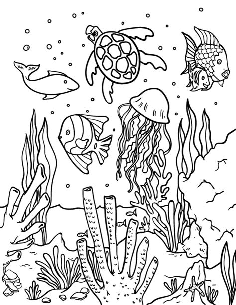 22 Underwater Sea Creatures Coloring Pages Homecolor Homecolor