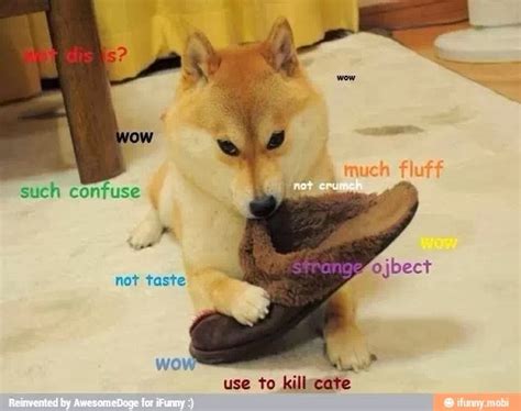Awesome Doge Doge Eating Slipper