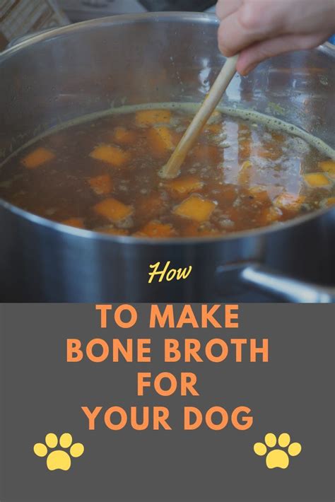 Changing your dog's food can cause diarrhea if not done slowly so their digestive tract can adjust to the new food. Dog Dehydration Symptoms | Dog food recipes, Dog nutrition ...