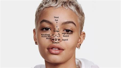 Types Of Nose Piercings Telegraph