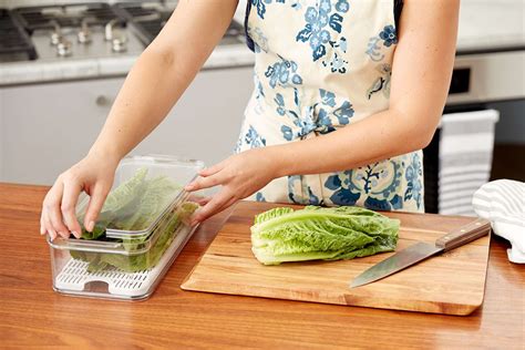 The Best Container For Storing Lettuce