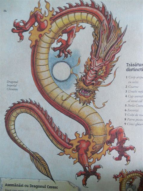 Imperial Asian Dragon By Lacithehunter On Deviantart