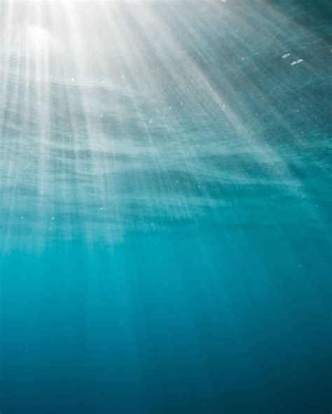Sun Rays Under The Sea Ocean Sea Underwater From Hannahprewittphotography Water Art Sea