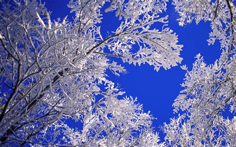 49 Beautiful Snow Scenes Wallpaper On Wallpapersafari