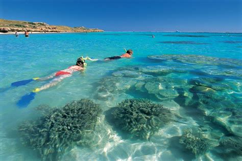 Travel N Travel Ningaloo Reef Western Australia