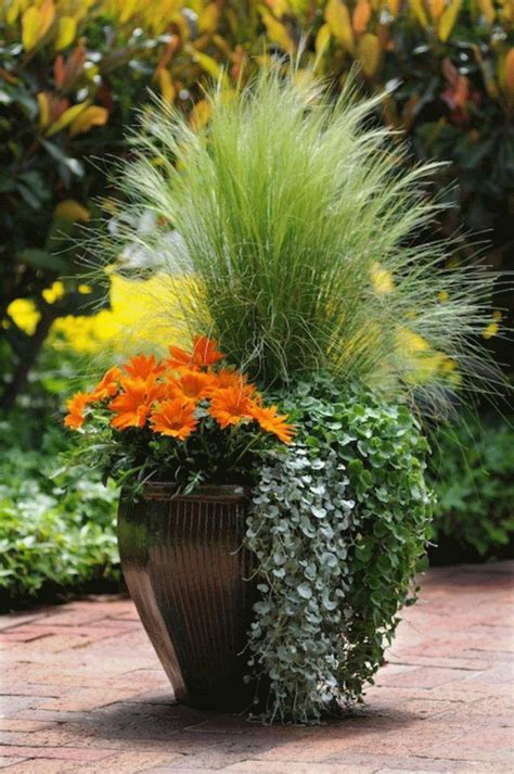 A Gallery Of Beautiful Container Garden Ideas