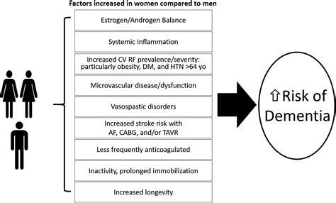 Sex Differences In Cardiovascular Disease And Cognitive Impairment