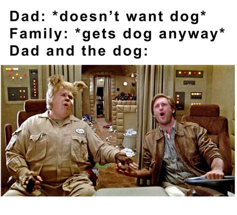 Dad And The Dog Memes For Dads Who Didnt Want Dogs Funny Gallery