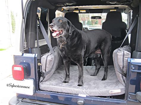 Backseat Barker Dog Bed For Suv Or Jeep Review