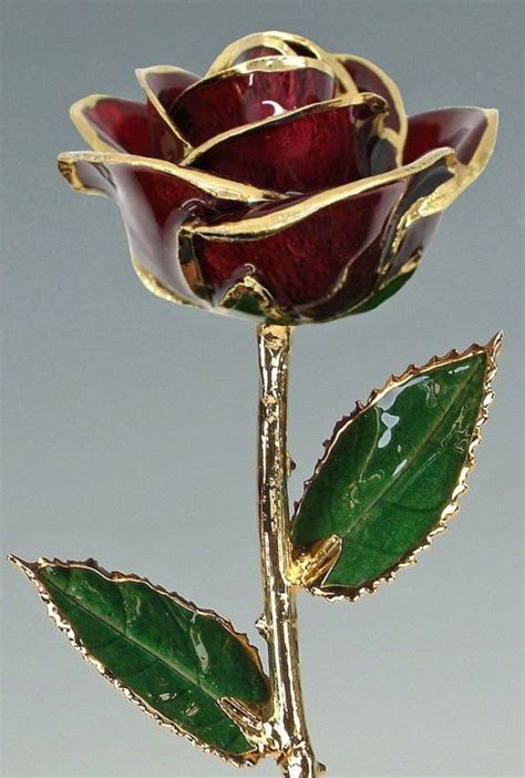 Real Preserved Roses Trimmed With Gold Dipped In Gold 24k Gold Rose