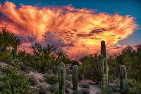 Pin By Claudia Viera On Az Arizona Sunset Landscape Beautiful Nature
