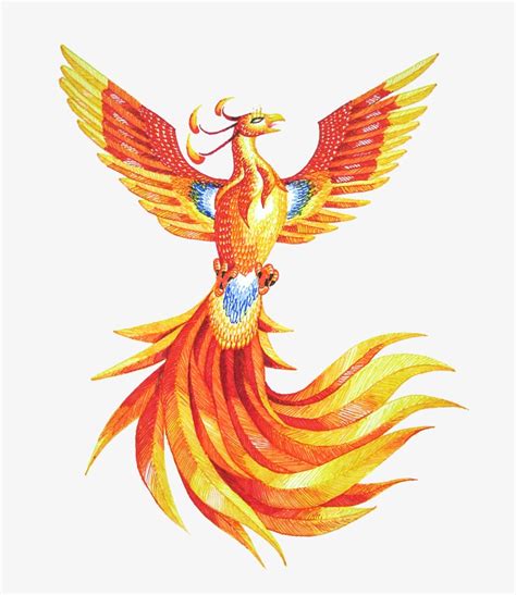 Phoenix Png Hd Fawkes The Phoenix Drawing Free Transparent Png