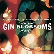 Gin Blossoms - Congratulations I'm Sorry - Vinyl - Walmart.com ...