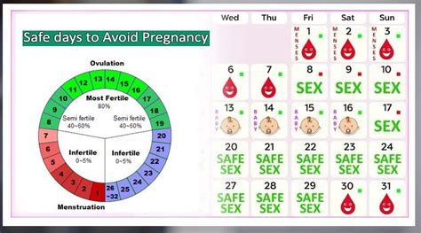 After Period Which Is The Best Day To Conceive
