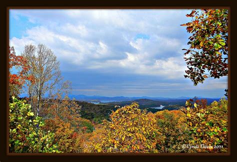 Fall Colors At Lake Blue Ridge Georgia